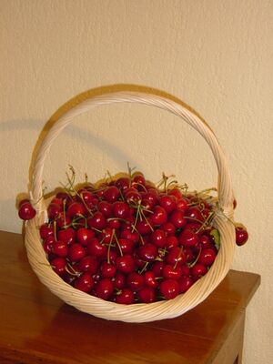 L'Hort del Gal (3)
