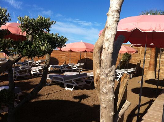 La Rose des Sables (1)