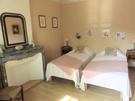 La chambre rose et sa cheminée de marbre