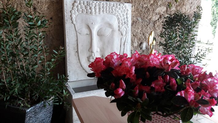 Laeticia Maini gite et chambres d'hôtes
