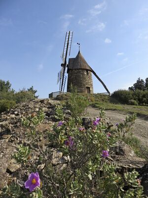 Le vieux moulin