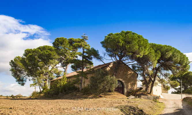 Les-Trois-Puechs--Olivier-Lebaron