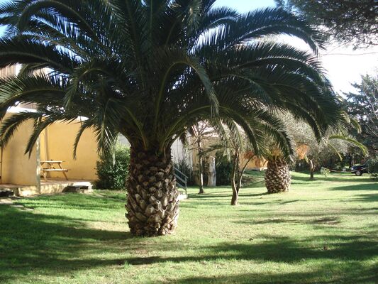 Motel Les Caraïbes - Sérignan