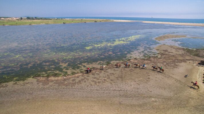 RANCH_LE_PETIT_SAM _dans l'eau