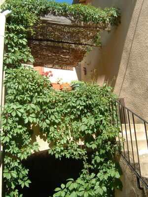 Rongas terrasse