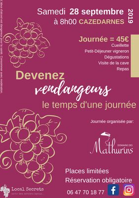 Vendanges-28-septembre