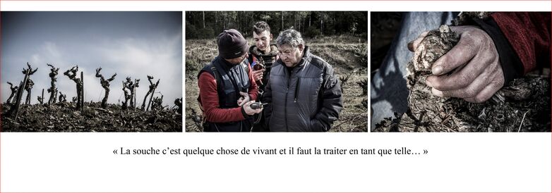 Visuel-tryptique
