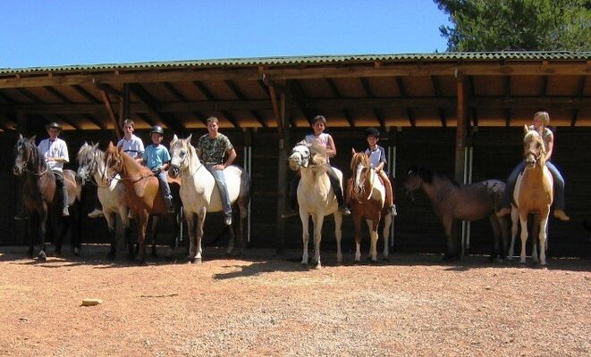 appaloosas