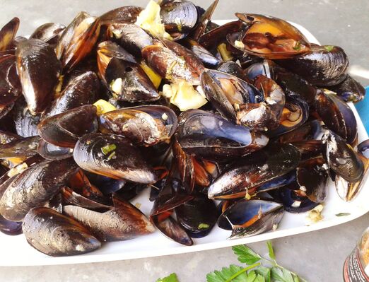 brasucade moules