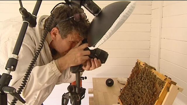 eric tourneret - France 3