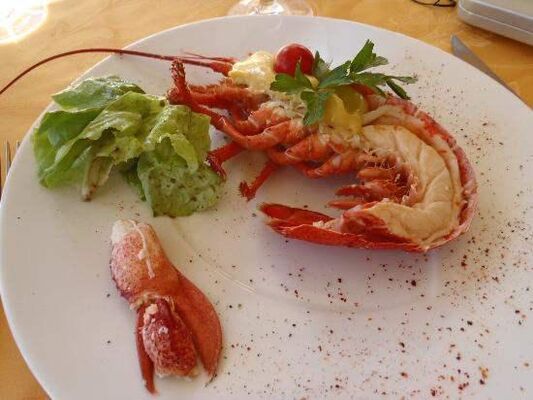 langouste