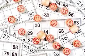 loto-169