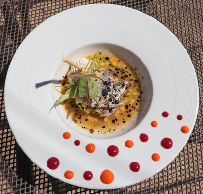 plats-le-9--13-