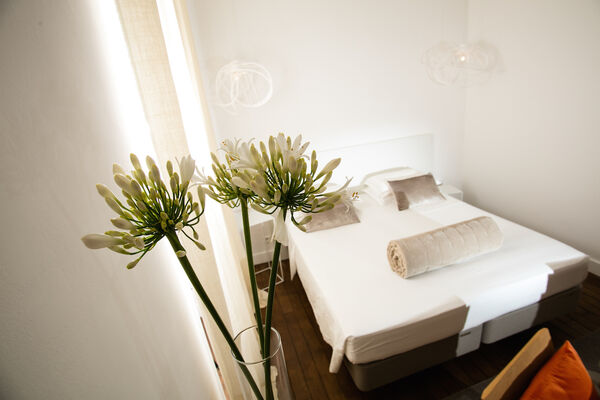 Hotel particulier-Béziers_24