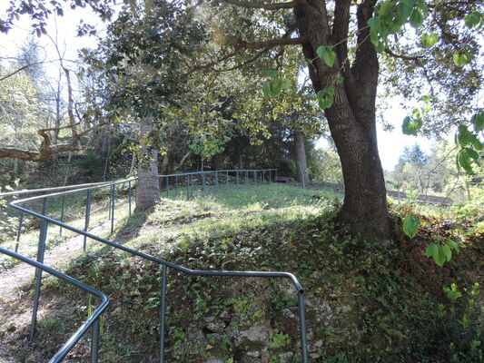Les Châtaigniers - terrain boisé2 - 2019 - jla
