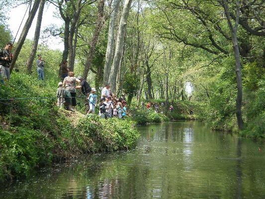 10 MAI LACHER DE TRUITES POUR ENFANTS