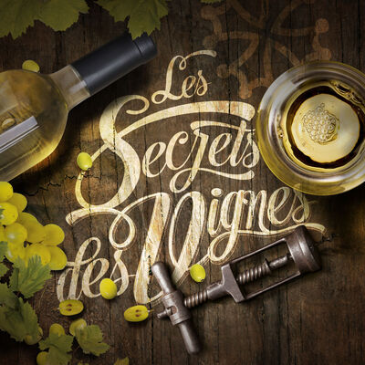 1024X1024-SECRETS-DES-VIGNES