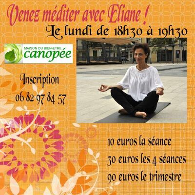 2018-2019 méditation canopée béziers