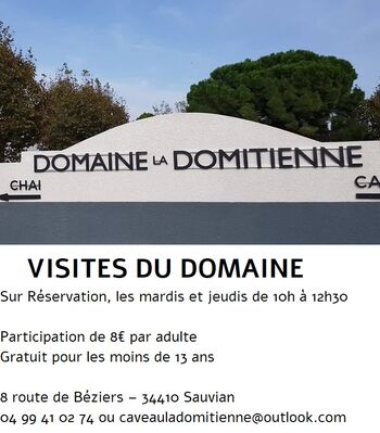 2019--ete-visites-caveau-la-domitienne-Sauvian
