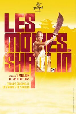 2019-01-25 moines shaolin beziers