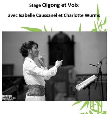 2019-02-17 voix et qigong Béziers