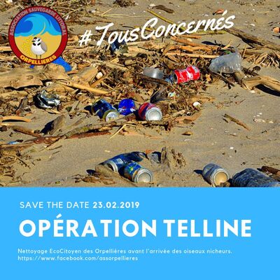2019-02-23 opération nettoyage orpellières