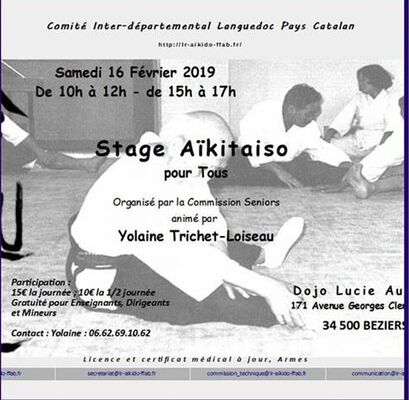 2019-02-26 stage Aïkitaiso Béziers