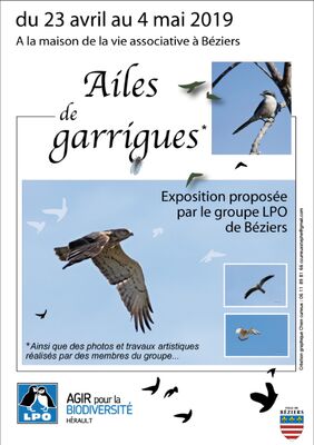 2019-04-23-ay-4-mai-expo-Ailes-de-Garrigues