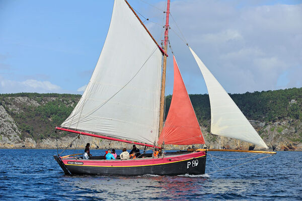 Enez Koalen