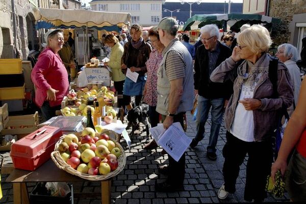 Marché Paimpol