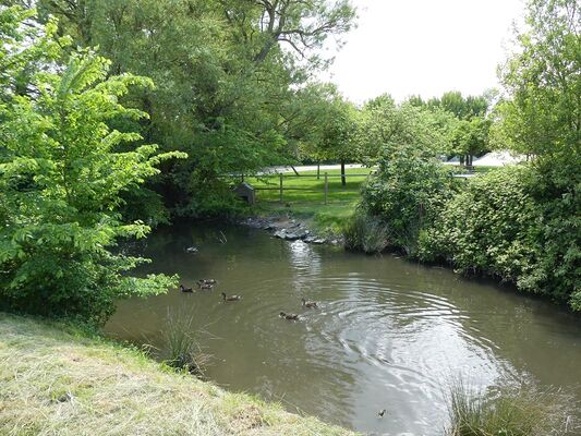 Marre aux canards la ferme du point du jour pour le site