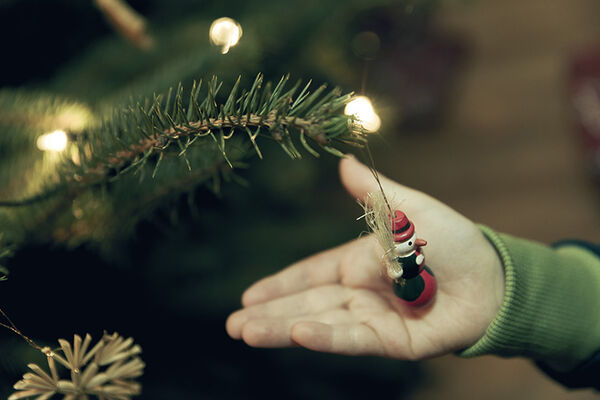 christmas holly decoration