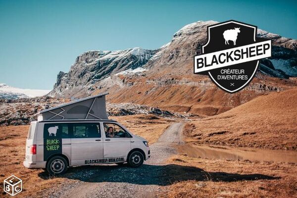 black sheep vans
