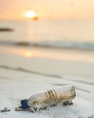 Nettoyage de plage ©seefromthesky