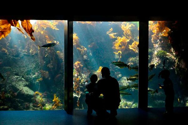 Océanopolis Brest