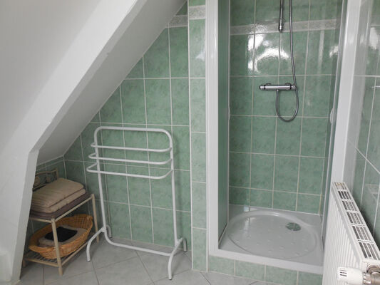 B&B La Lande Grèle - salle douche - Saint Jouan des Guerets