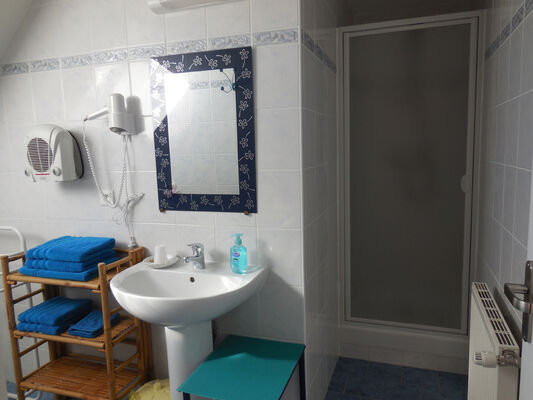 B&B La Lande Grèle - salle douche1 - Saint Jouan des Guerets