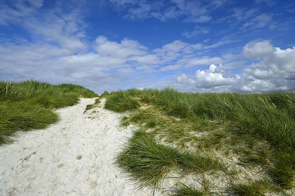 Dunes Sainte-Marguerite