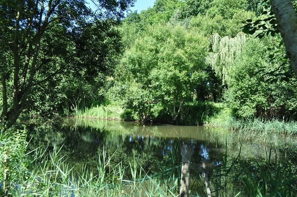 Camping-Le-Villeu-Lancieux-nature