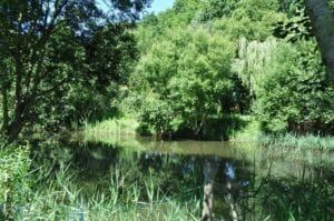 Camping-Le-Villeu-Lancieux-nature