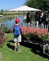Cardroc--Fete-des-plantes---Y