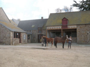 Centre équestre la cravache