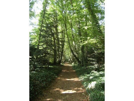 Chambres d'hôtes-Ville Voisin-Augan-Brocéliande-Bretagne