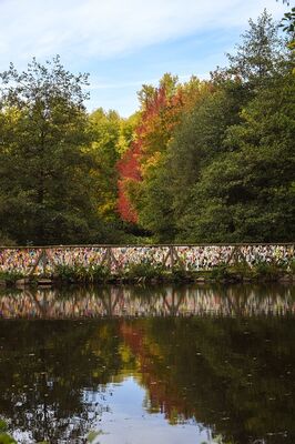 balade de saison