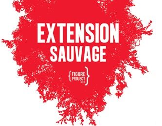 Extension Sauvage © Figure Project