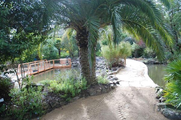 Jardin Exotique de Roscoff