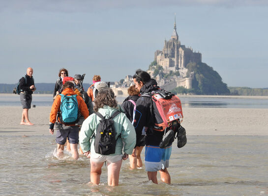 Escapades en Baie avec des Guides Nature