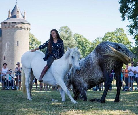 Fete du cheval 7juillet2019