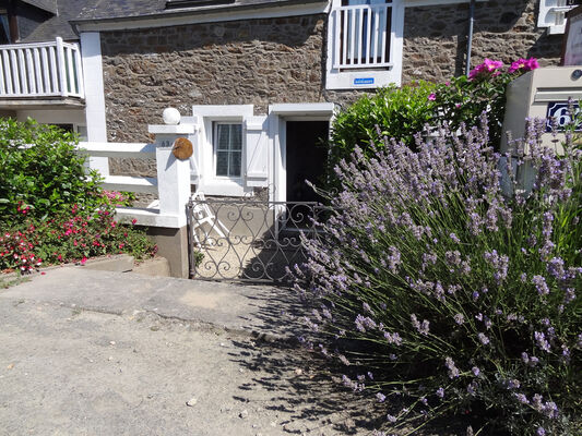 Location Les FUSCHIAS Mmr Barre Saint Jouan des Guérets