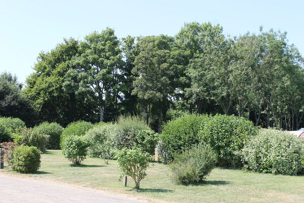 Camping La Tourelle
